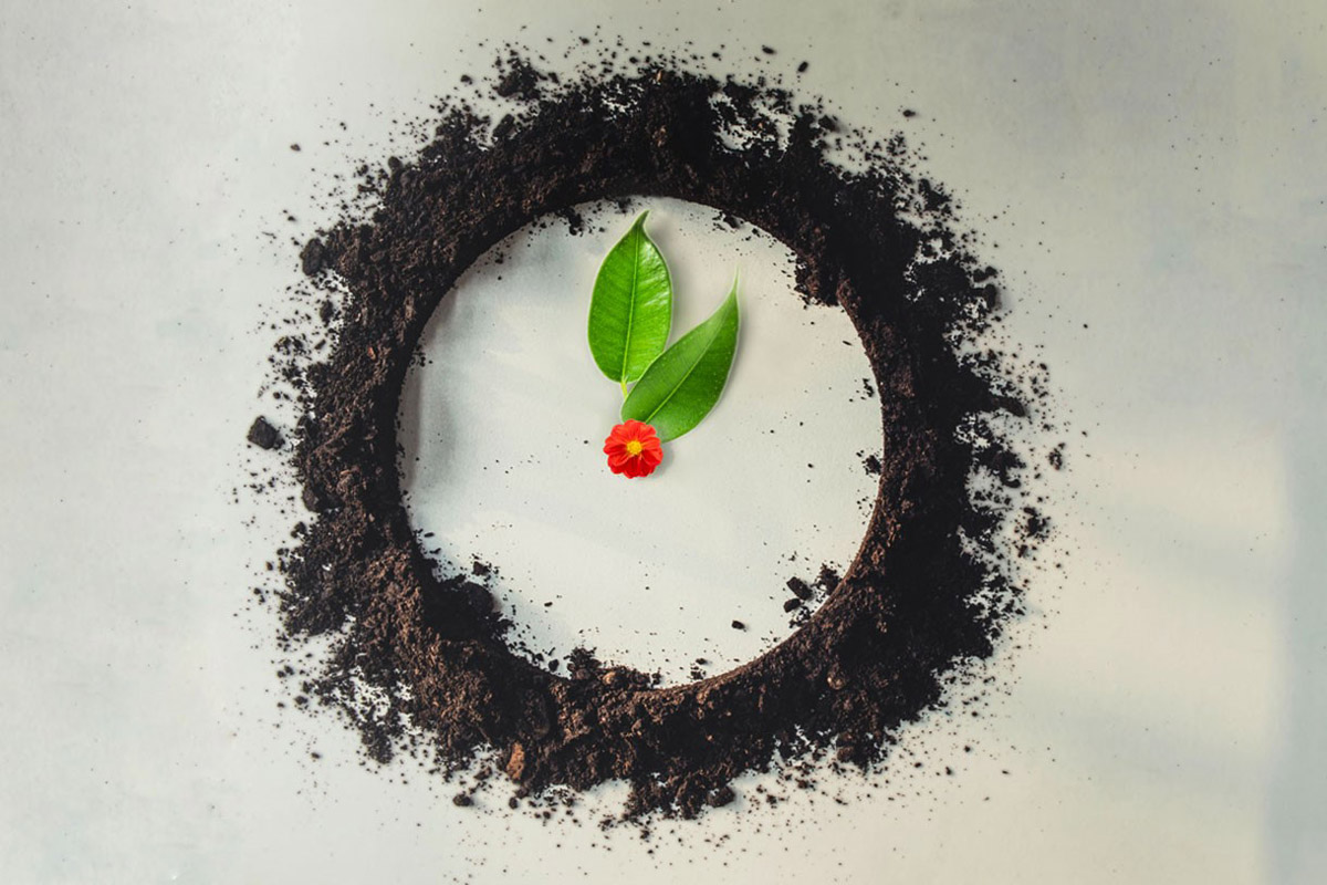 Fridays for Future: per un’orologeria sostenibile
