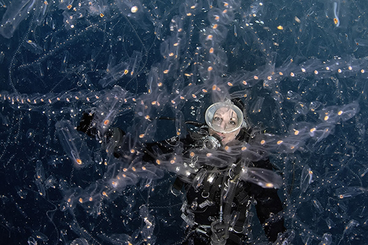 World Oceans Day, continua l’impegno di Blancpain