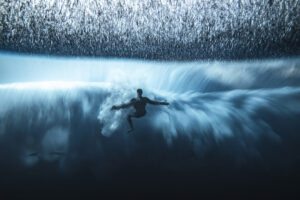 Ocean Photographer of the Year e l’impegno subacqueo di Blancpain