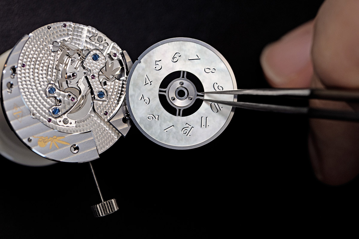 Il movimento del Lady Lucky Spring Butterfly